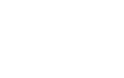 Master Data Management